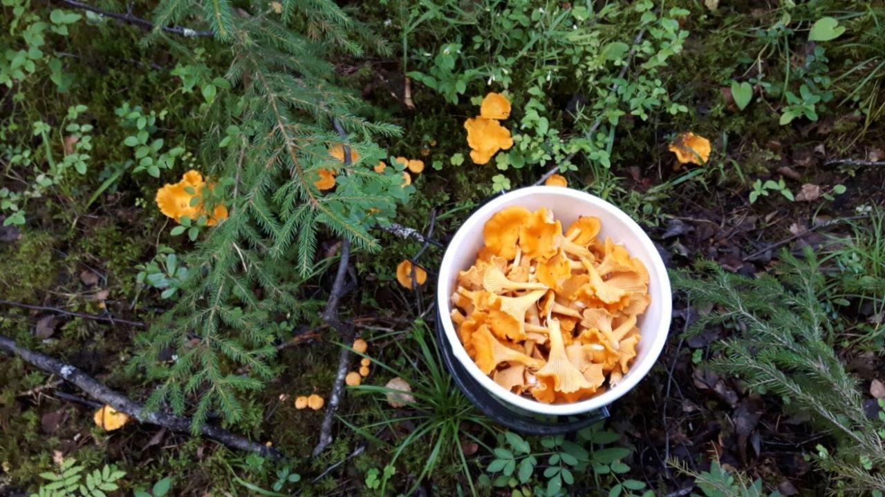 HimosSuvituuli | Paajoen Vuokramoekit别墅 外观 照片