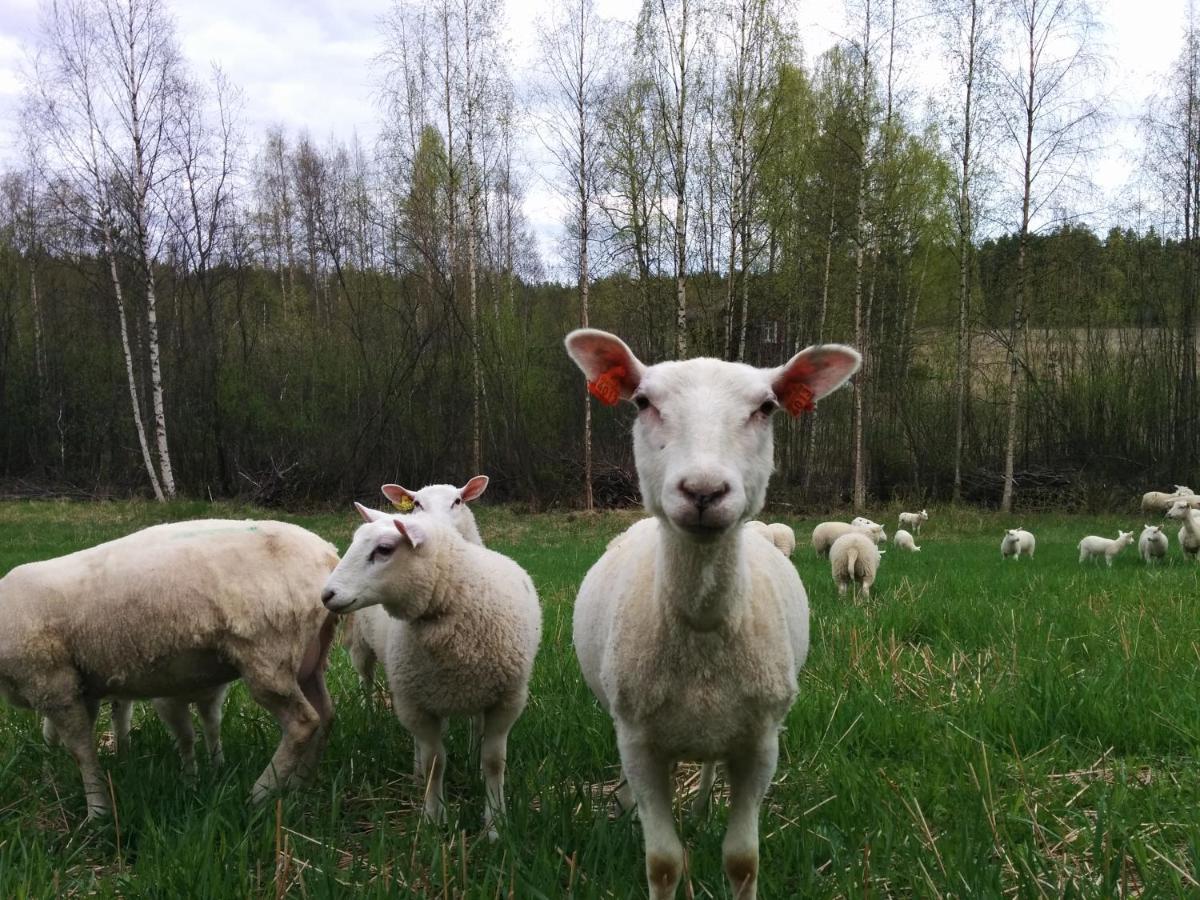 HimosSuvituuli | Paajoen Vuokramoekit别墅 外观 照片